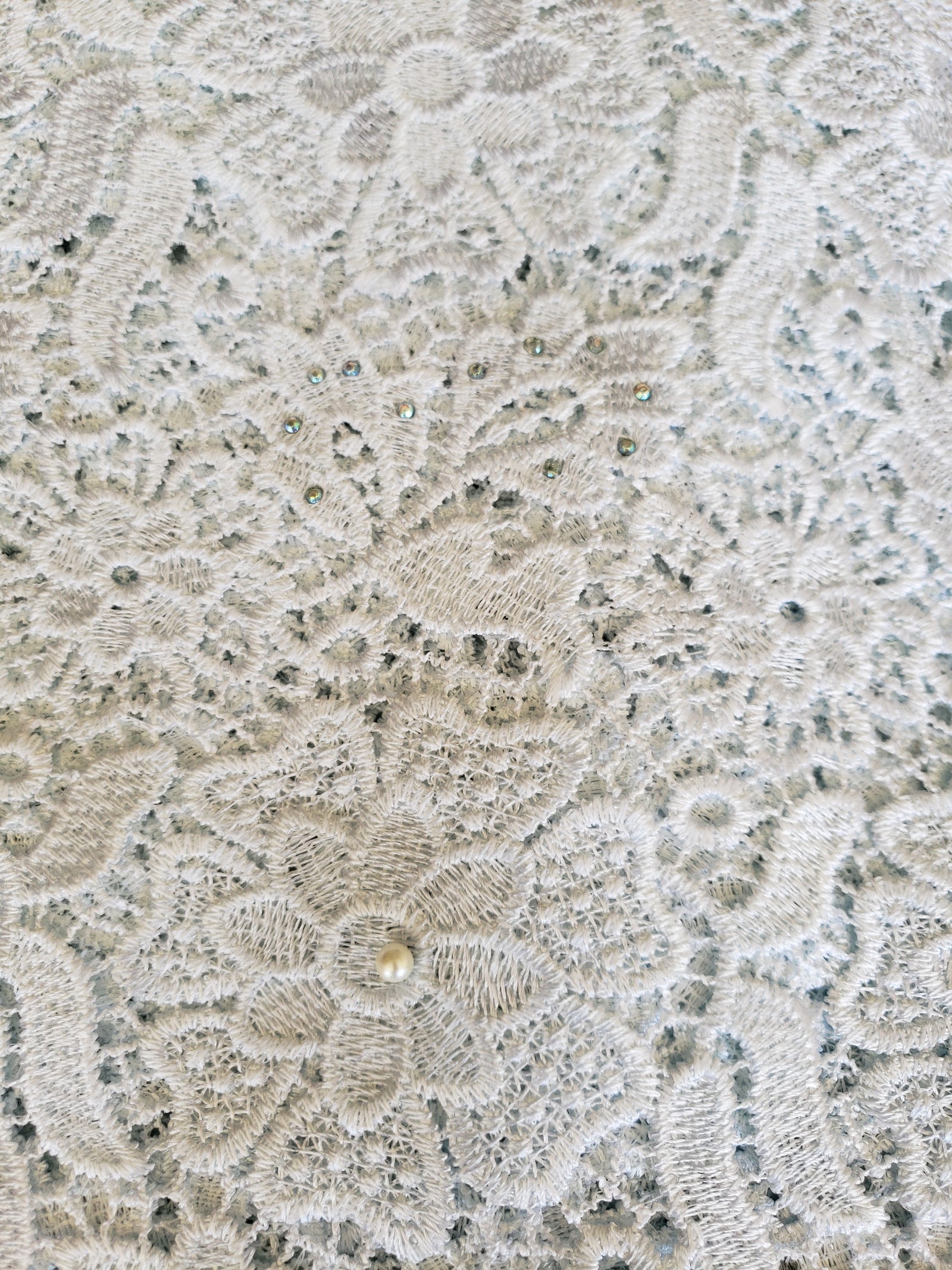 Big Elegant cord lace (white)