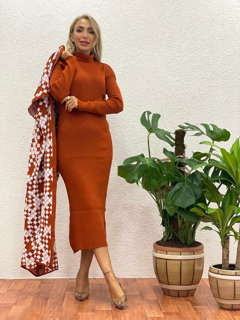 2 Piece Color Block Turtleneck Dress