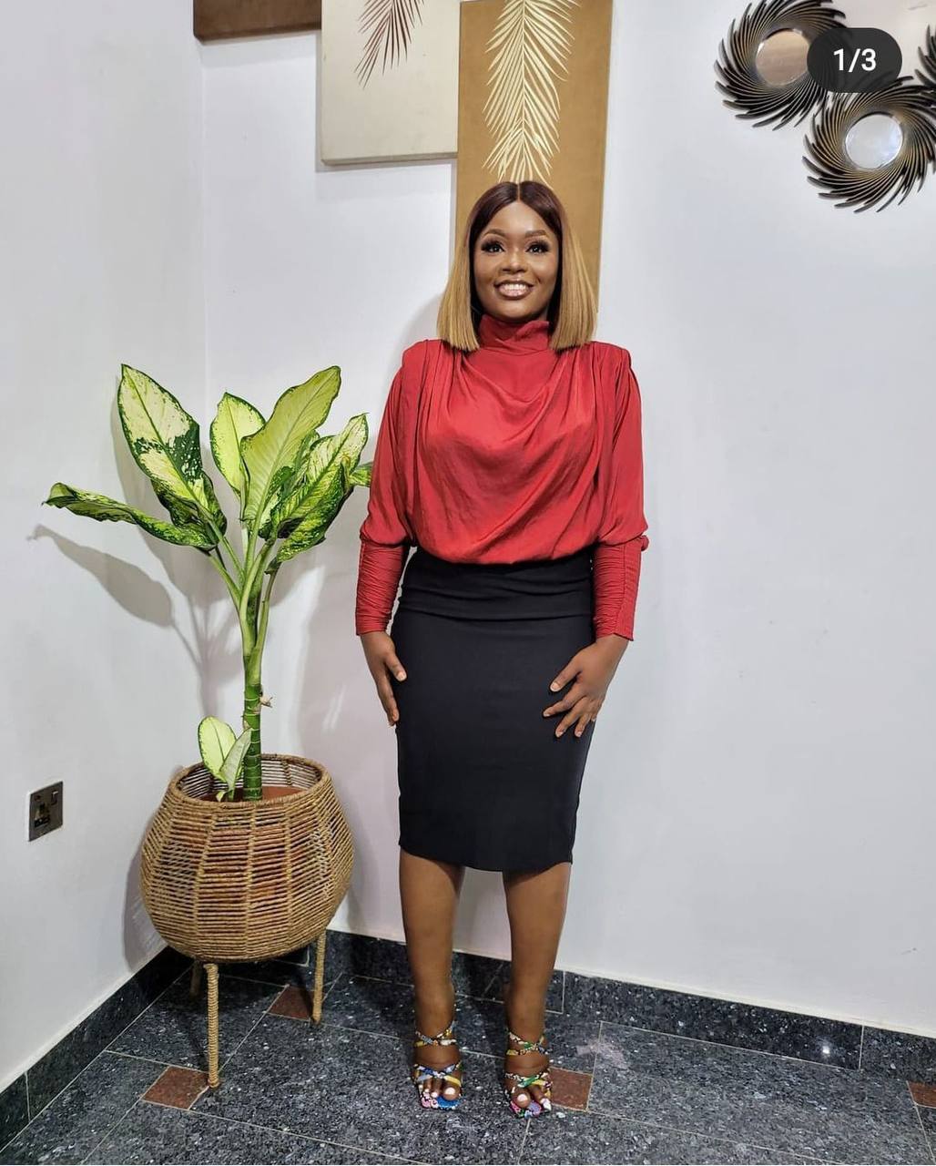 Sophia Elegant Chiffon Long Sleeves Crop Blouse {White}